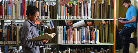 studying in the book stacks